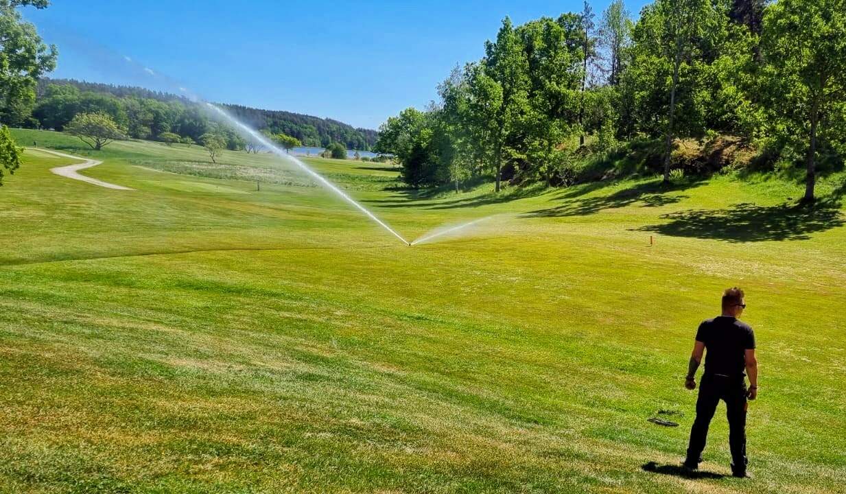 Turfgrass Water Use