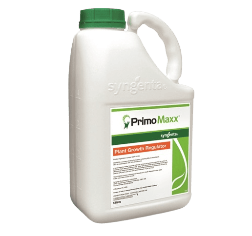Primo Maxx bottle