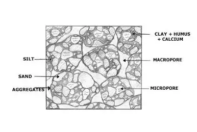 Golf Course Soil Maintenance Pore Space Architecture: Macropores vs Micropores.