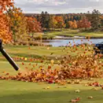 autumn golf course maintenance
